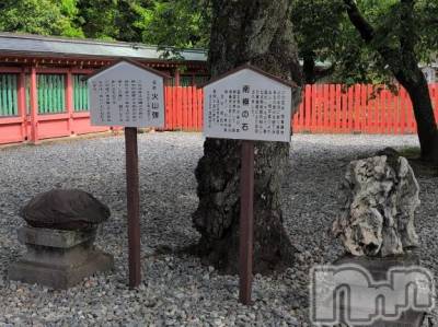 新潟人妻デリヘル 熟女の風俗 最終章(ジュクジョノフウゾクサイシュウショウ) さつき(50)の5月8日写メブログ「鉱物資源大好きな私　前回　流鏑馬に夢中で」
