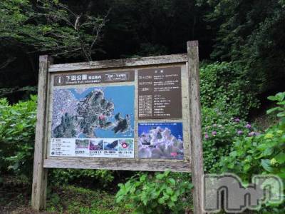 新潟人妻デリヘル 熟女の風俗 最終章(ジュクジョノフウゾクサイシュウショウ) さつき(50)の6月3日写メブログ「朝３時起きして、あじさいを見て来ました。」