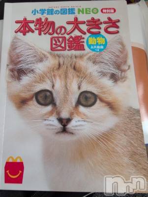 新潟人妻デリヘル 熟女の風俗 最終章(ジュクジョノフウゾクサイシュウショウ) さつき(50)の6月9日写メブログ「めずらしく、マックに行ったら、ナゲットソース間違ってた。」
