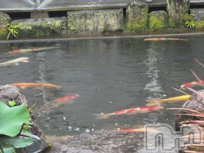 新潟人妻デリヘル 熟女の風俗 最終章(ジュクジョノフウゾクサイシュウショウ) さつき(50)の6月11日写メブログ「今日も、雨」
