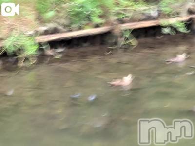 新潟人妻デリヘル 熟女の風俗 最終章(ジュクジョノフウゾクサイシュウショウ) さつき(50)の8月8日写メブログ「昨日泊まったホテルのロビーの横には」