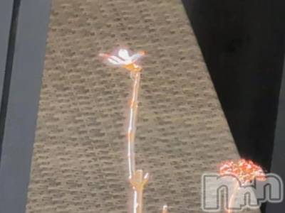 新潟デリヘル 熟女の風俗 最終章(ジュクジョノフウゾクサイシュウショウ) さつき(50)の9月30日写メブログ「あじさいの枝に、何度もトンボがとまっては、もどりしています。」