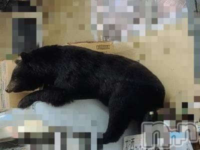 新潟デリヘル 熟女の風俗 最終章(ジュクジョノフウゾクサイシュウショウ) さつき(50)の10月18日写メブログ「昨日、農産物売り場に行って来ました。」