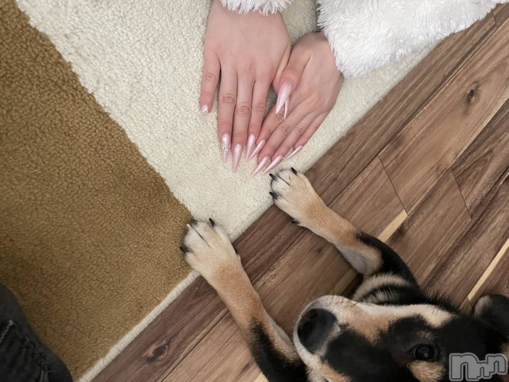 ƲХ顦Lounge Veranda(饦󥸥٥) Ҥʤ1127̥֥֤ҤʤǤ