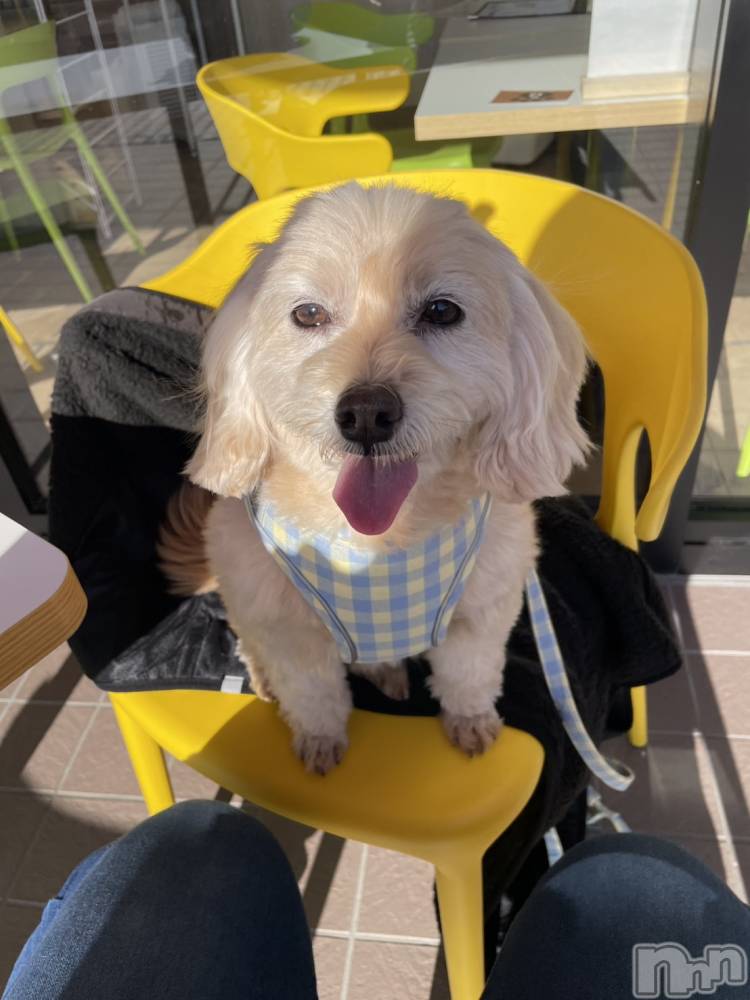 ƲХ顦Lounge Veranda(饦󥸥٥) Ҥʤ121̥֥֤ҤʤǤ