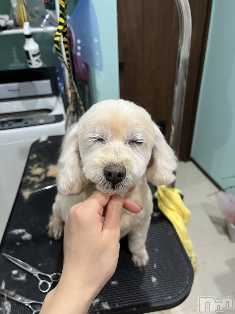 ��Ʋ����Х��顦�����Lounge Veranda(�饦�󥸥٥���) �Ҥʤ�12��28���̥�֥����֤ҤʤǤ���