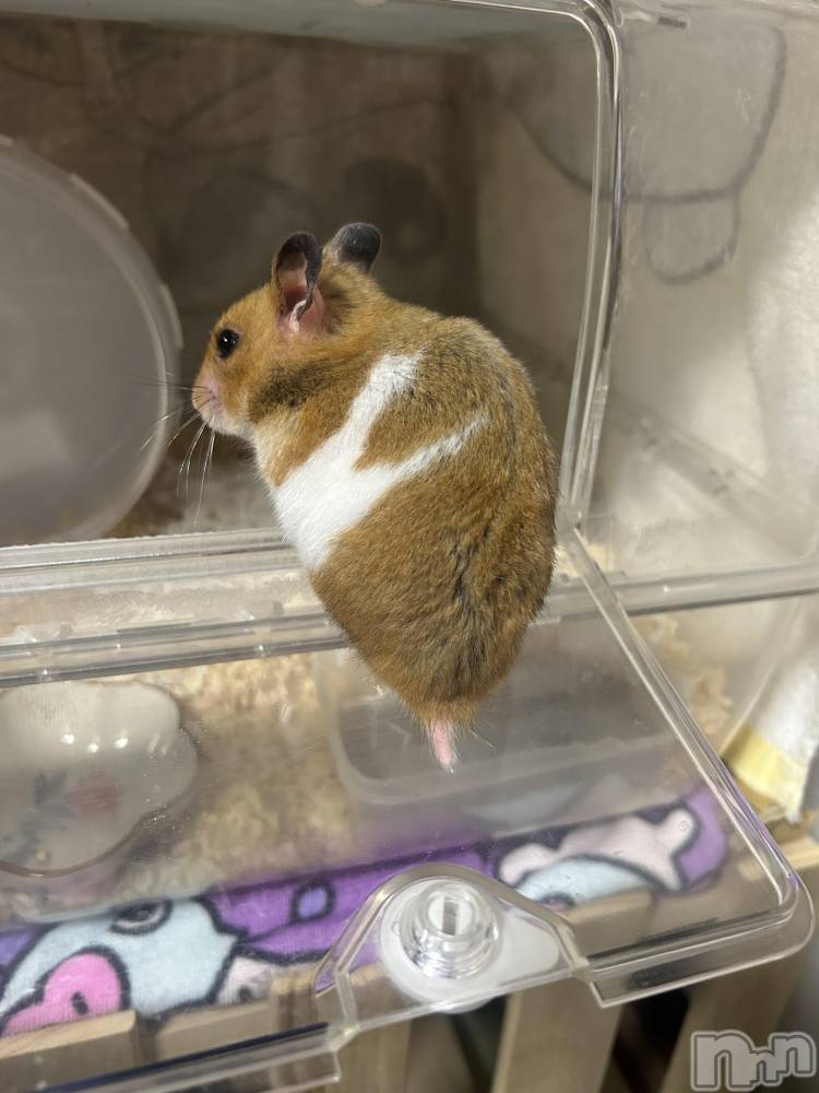 ��Ʋ����Х��顦�����Lounge Veranda(�饦�󥸥٥���) �Ҥʤ�1��28���̥�֥����֤ҤʤǤ���