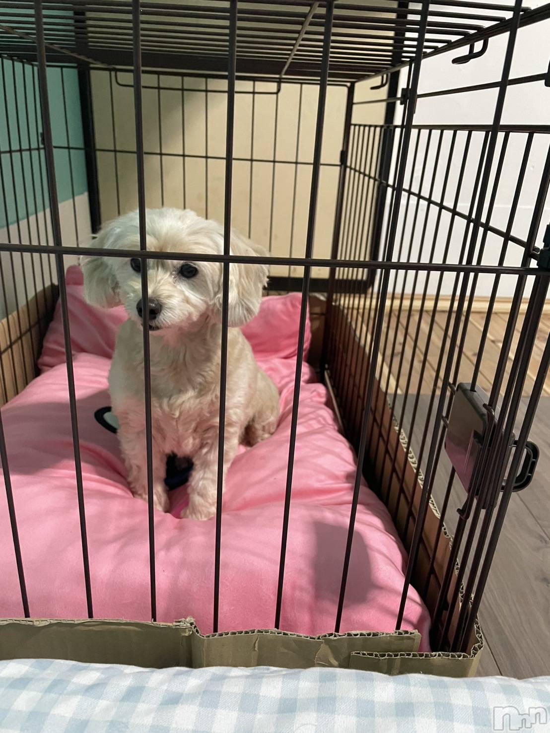 ƲХ顦Lounge Veranda(饦󥸥٥) 2025ǯ112̥֥֤ҤʤǤ