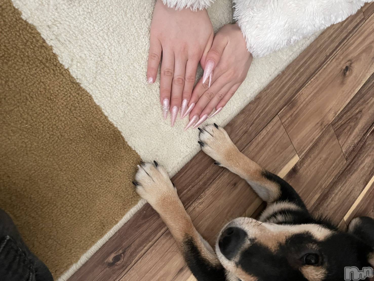 ƲХ顦Lounge Veranda(饦󥸥٥) 2025ǯ1127̥֥֤ҤʤǤ