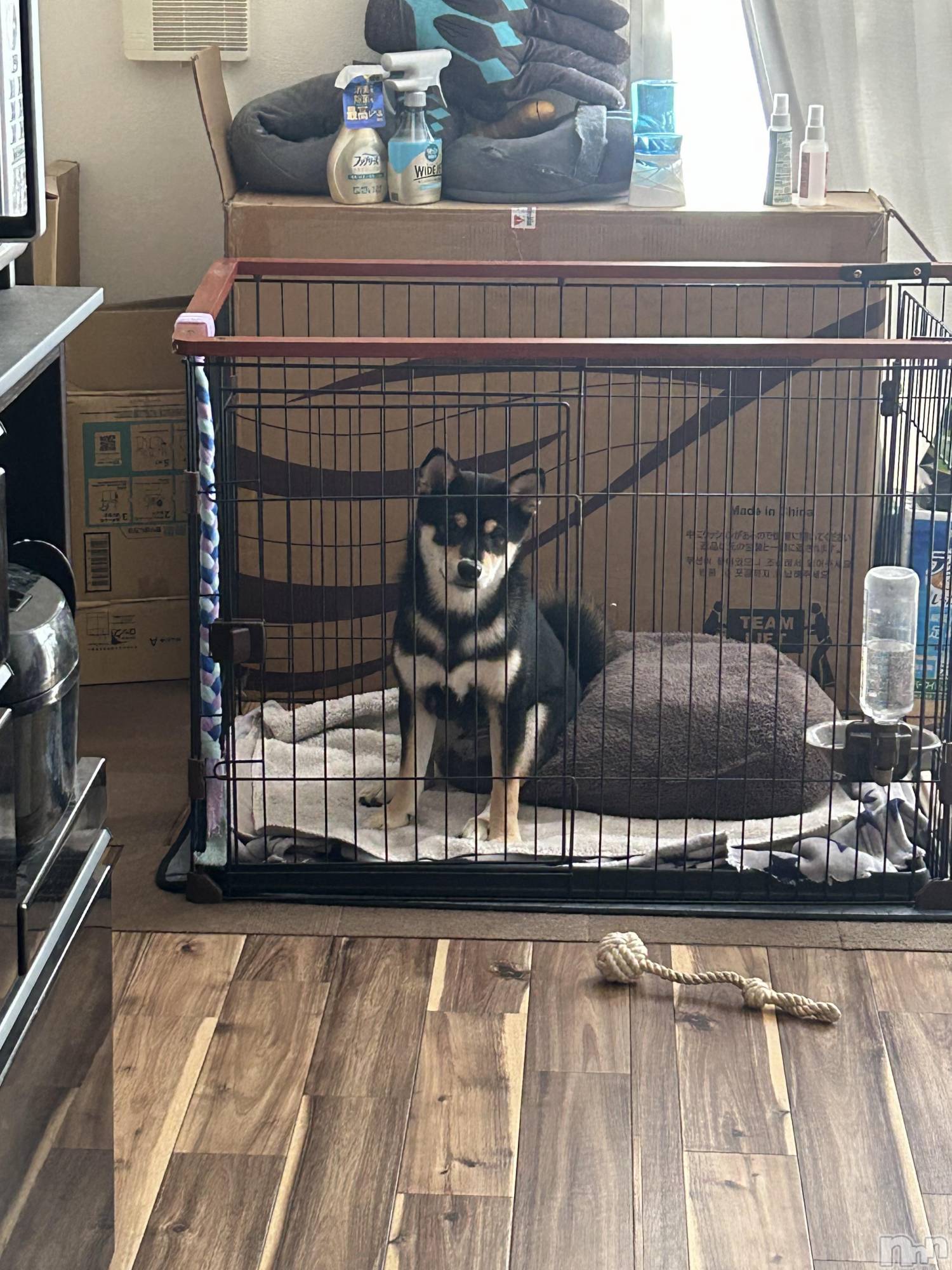 ƲХ顦Lounge Veranda(饦󥸥٥) 2025ǯ1210̥֥֤ҤʤǤ