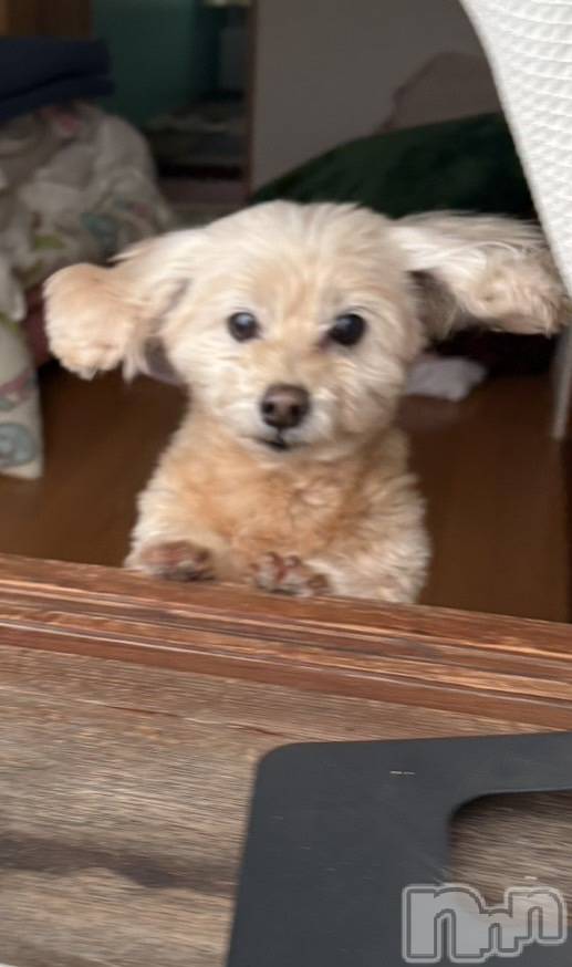 ��Ʋ����Х��顦�����Lounge Veranda(�饦�󥸥٥���) ��2026ǯ2��7���̥�֥����֤ҤʤǤ���