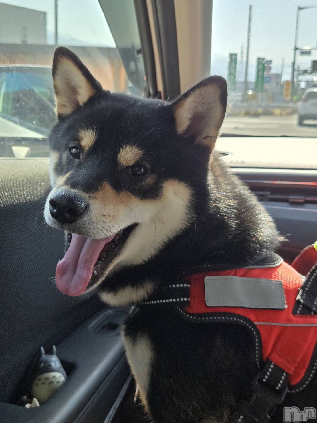 ��Ʋ����Х��顦�����Lounge Veranda(�饦�󥸥٥���) ��2026ǯ2��21���̥�֥����֤ҤʤǤ���