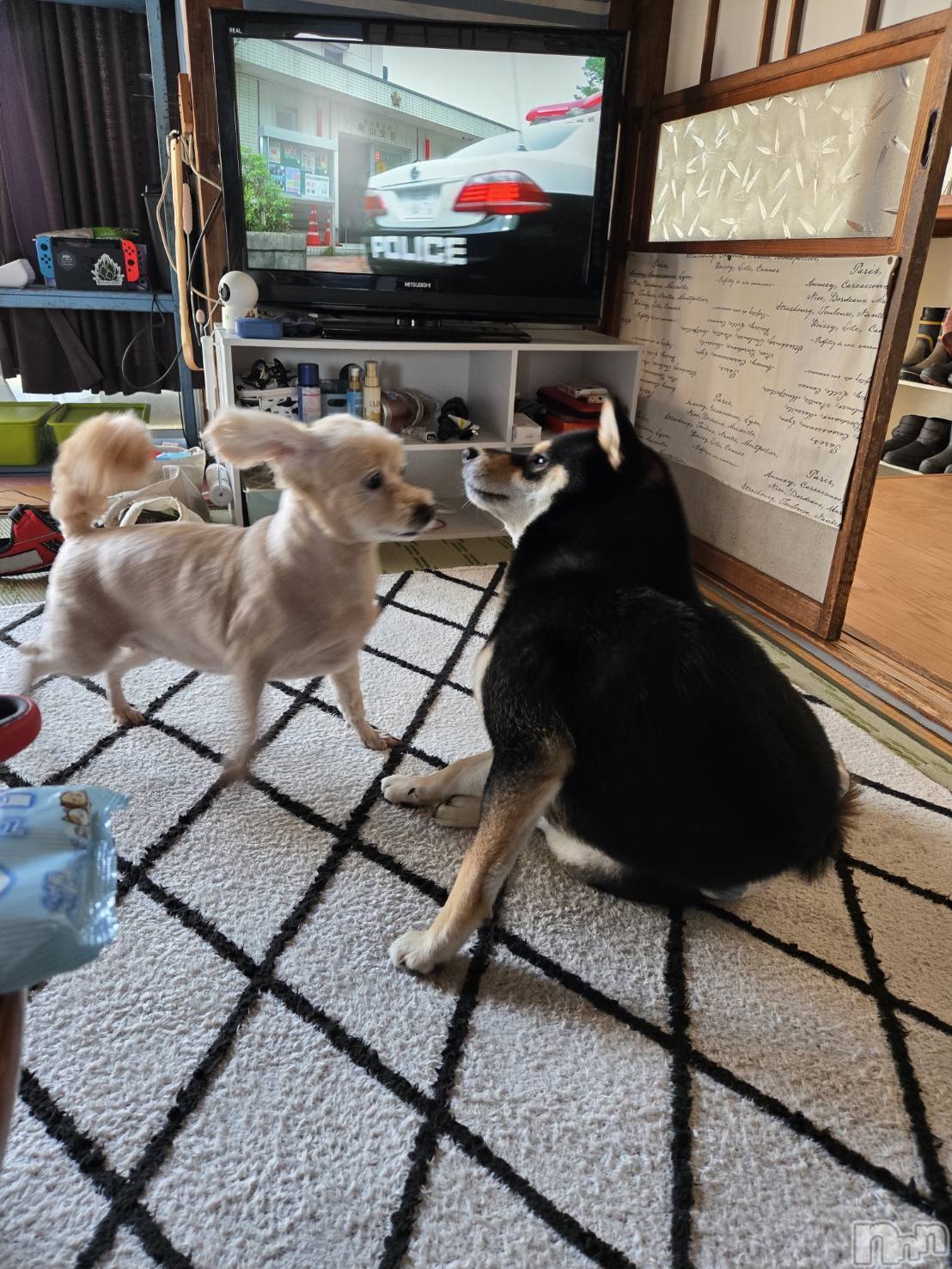 ��Ʋ����Х��顦�����Lounge Veranda(�饦�󥸥٥���) ��2026ǯ4��13���̥�֥����֤ҤʤǤ���