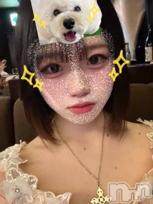 ƲХ顦Lounge Veranda(饦󥸥٥) Ҥʤ215̥֥֤ҤʤǤ