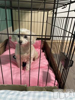 ƲХ顦Lounge Veranda(饦󥸥٥) Ҥʤ112̥֥֤ҤʤǤ