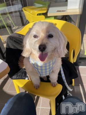 ��Ʋ����Х��顦�����Lounge Veranda(�饦�󥸥٥���) �Ҥʤ�12��1���̥�֥����֤ҤʤǤ���