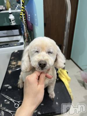 ��Ʋ����Х��顦�����Lounge Veranda(�饦�󥸥٥���) �Ҥʤ�12��28���̥�֥����֤ҤʤǤ���