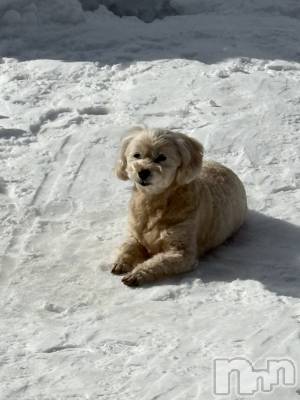 ��Ʋ����Х��顦�����Lounge Veranda(�饦�󥸥٥���) �Ҥʤ�1��17���̥�֥����֤ҤʤǤ���