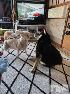 ��Ʋ����Х��顦�����Lounge Veranda(�饦�󥸥٥���) �Ҥʤ�4��13���̥�֥����֤ҤʤǤ���