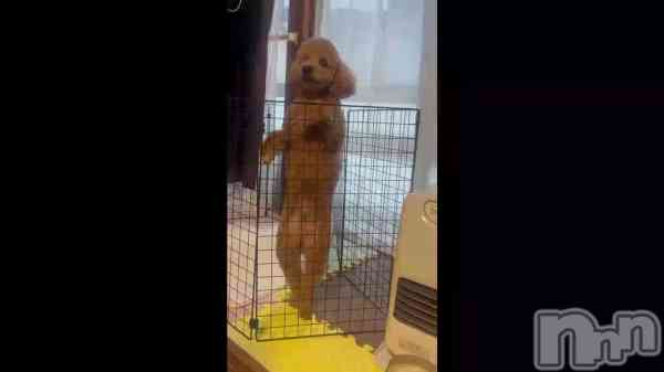 �֤ҤʤǤ���