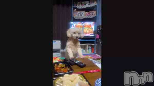 �֤ҤʤǤ���