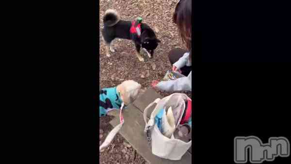 �֤ҤʤǤ���