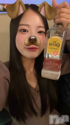 ʥå륺Сʥåܤ(ʥåܥ) ߤʤ(21)930̥֥֥ƥȤ͡