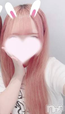 Ϥ(ҥߥ) Ĺҥߥġȯѥ˥󥯥 㥳ѥ˥󥯥 HAPPY(˥ѥ˥󥯥 ϥåԡ)ҡ