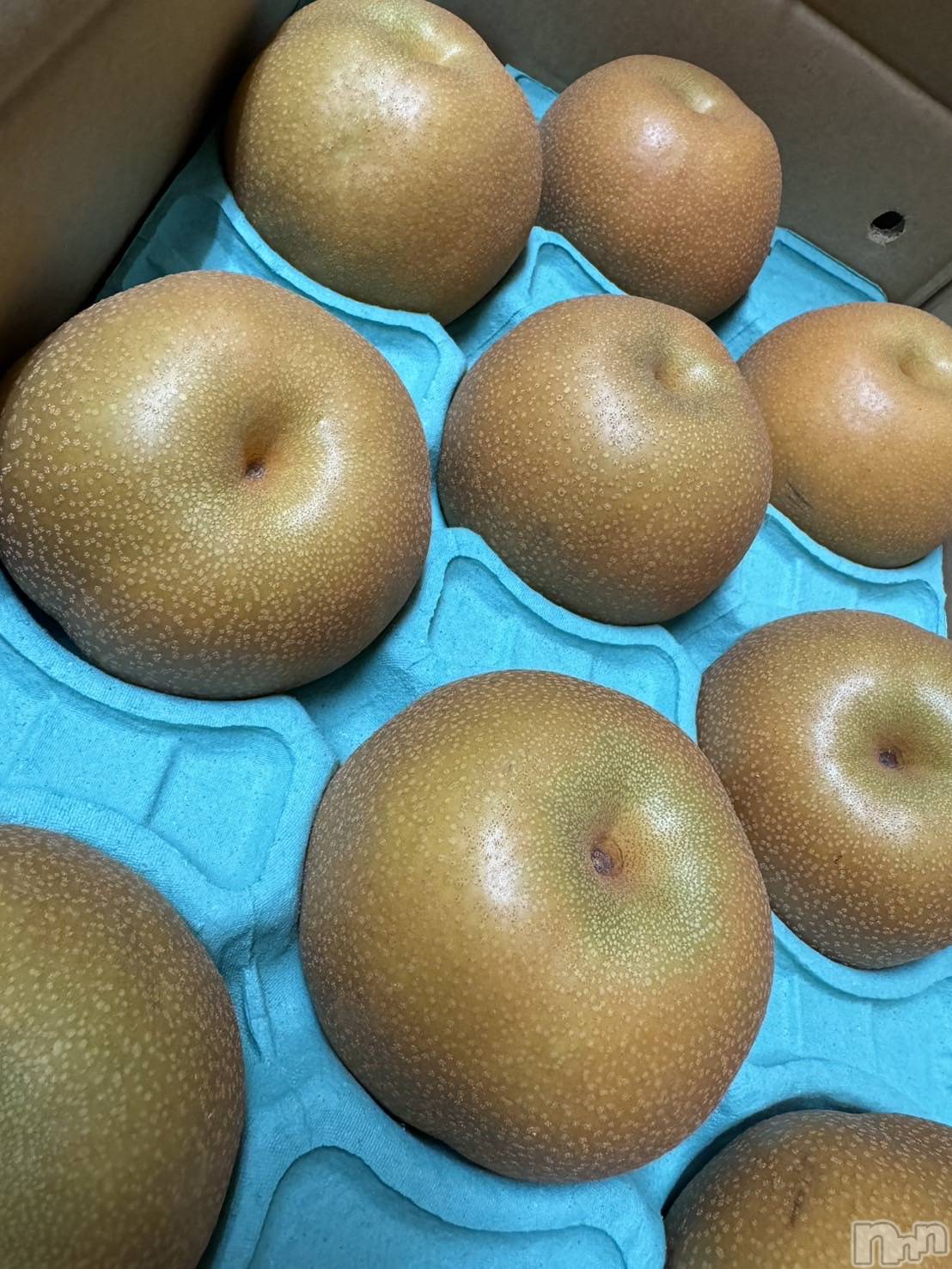 ܱХ顦Club (֥ʥǥ) 2025ǯ912̥֥🍐