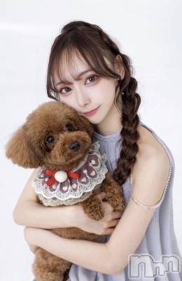 ���ܱ����ˤ��륭��Х��顦����֡�Club ���(����֥ʥǥ���)�פΥ��㥹�ȡ֤��פξҲ����