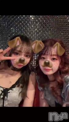 🐶