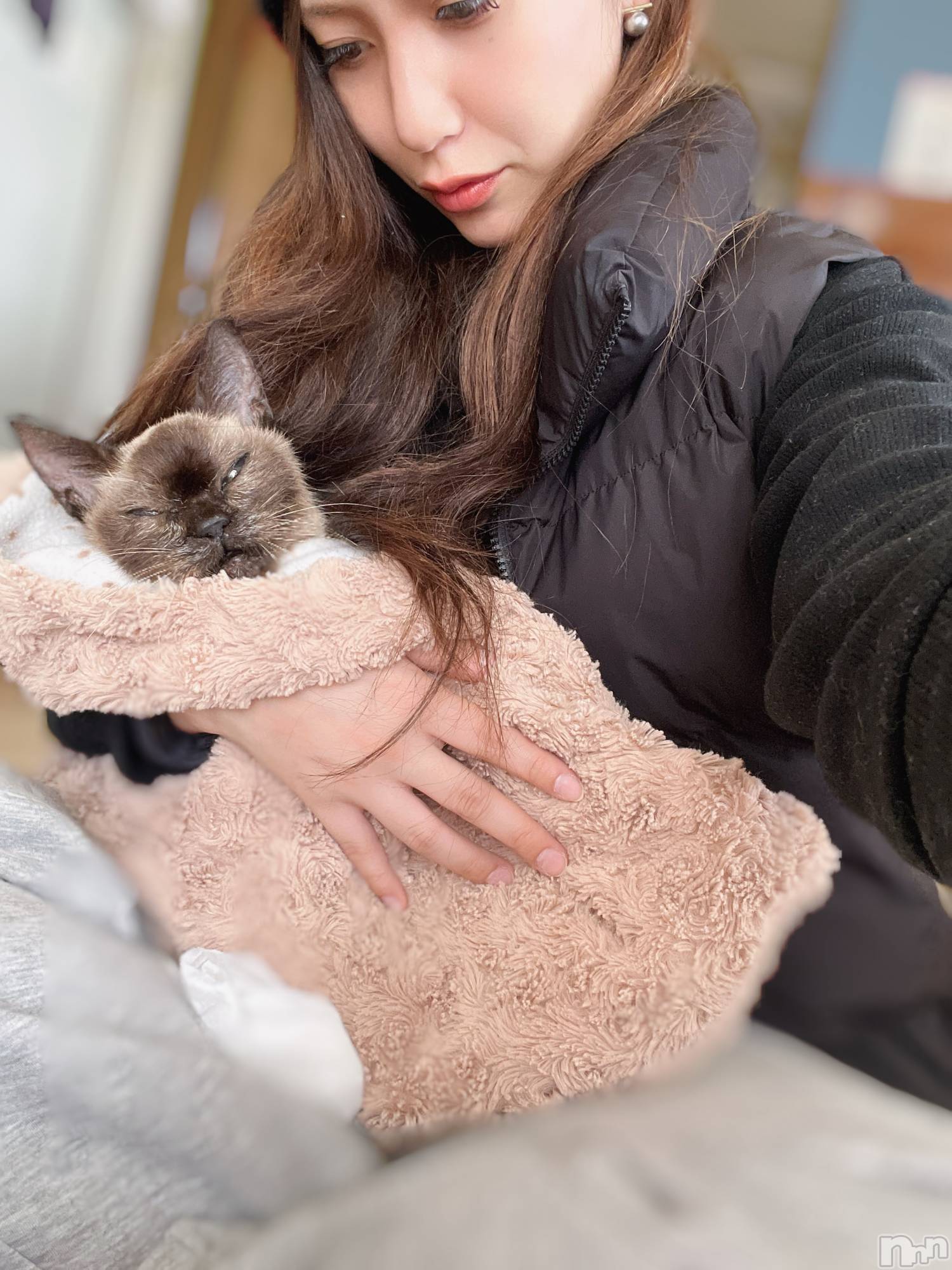 ܱХ顦() 2025ǯ1125̥֥ŷˡ