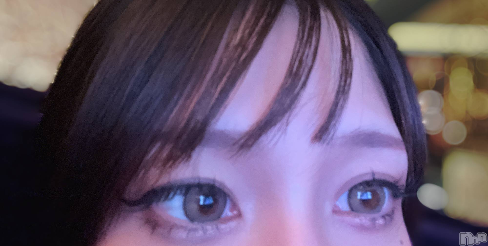 ���ܱ�������Х��顦���������(�����) ��2026ǯ1��28���̥�֥�������ȱ������