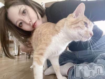 ܱХ顦() ʤߤ522̥֥🍺