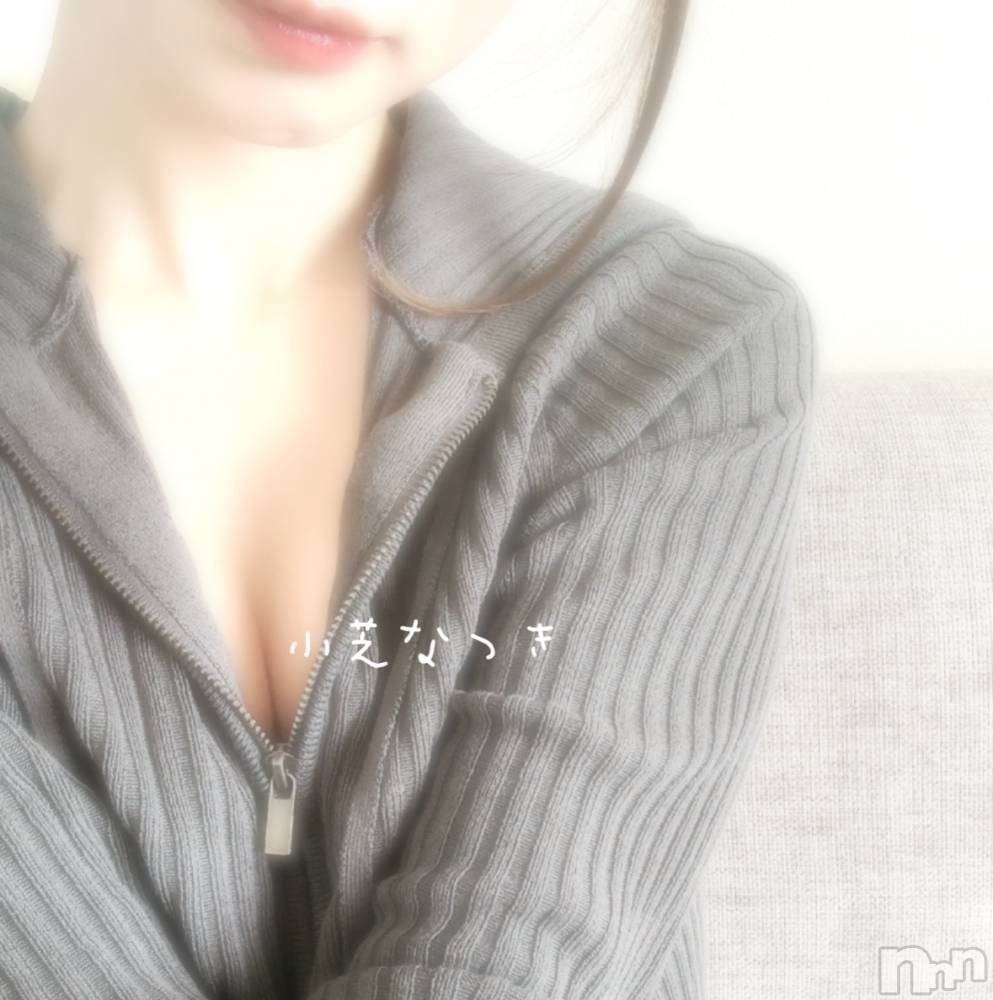 㡦ȯĥꥢ󥺥allure(塼) ǤʤĤ67ֺ̥֥Τ֤🐶🐾