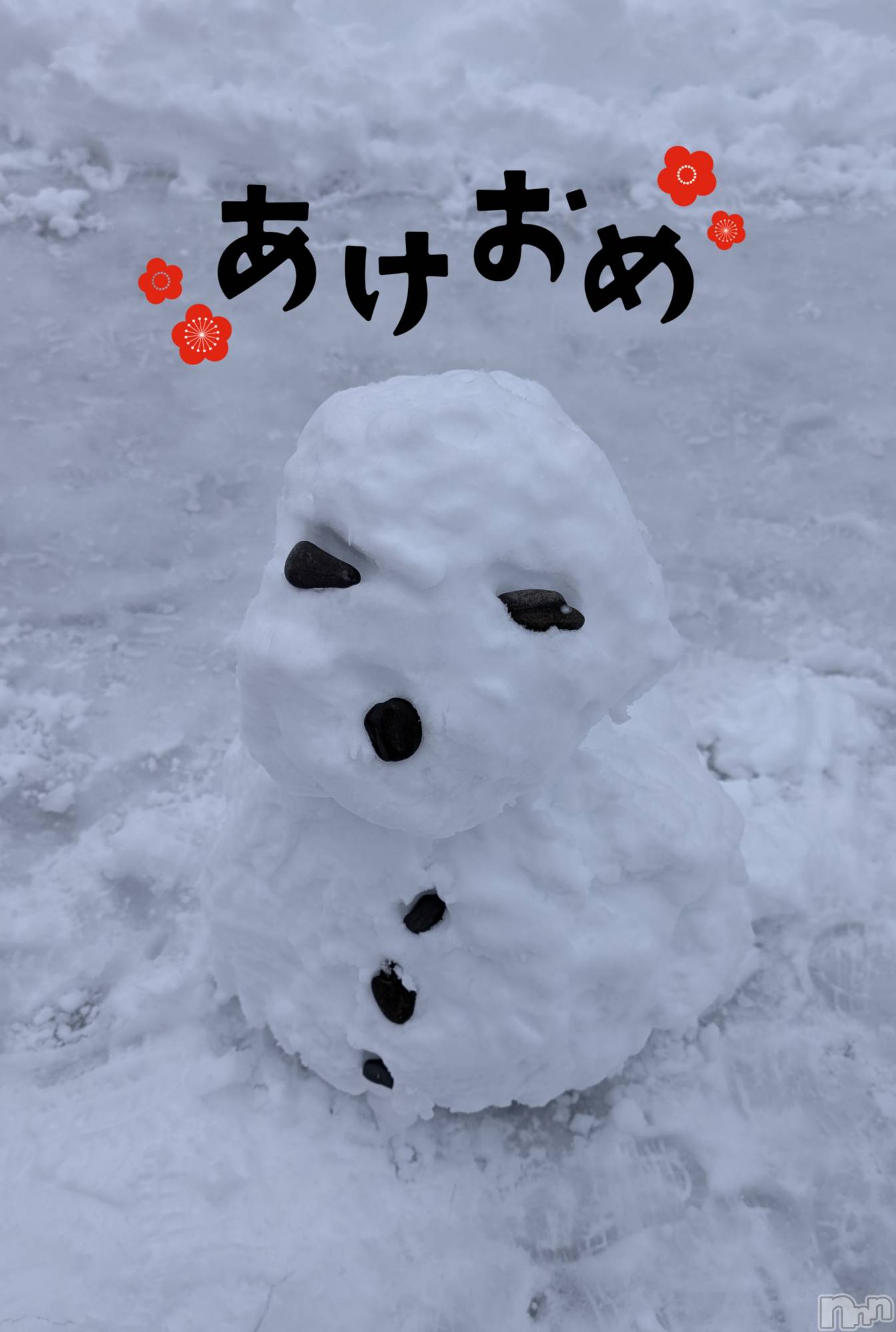 新潟デリヘル人妻楼　新潟店(ヒトヅマロウ　ニイガタテン)涼(33)の2026年1月4日写メブログ「今年もよろしくお願いいたします🦄💓‪」