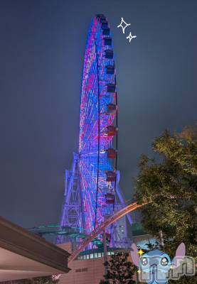 新潟デリヘル 人妻楼　新潟店(ヒトヅマロウ　ニイガタテン) 涼(33)の11月11日写メブログ「ALLりぴさん。。😭🫶」