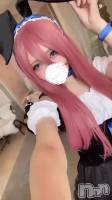 Хˡ🐰*⑅♥