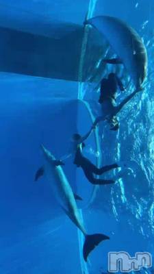 🐠🐟🐬🐳💕