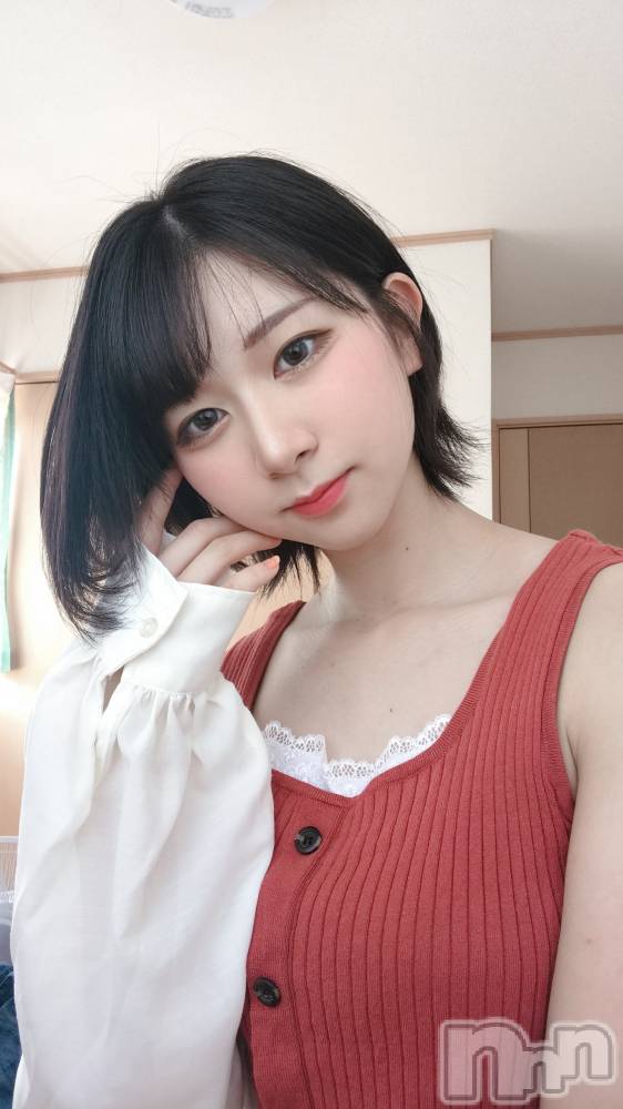 ʥå륺СաɥСӥ٥˥塼 Nachi28ֲ̥֥μ̿
