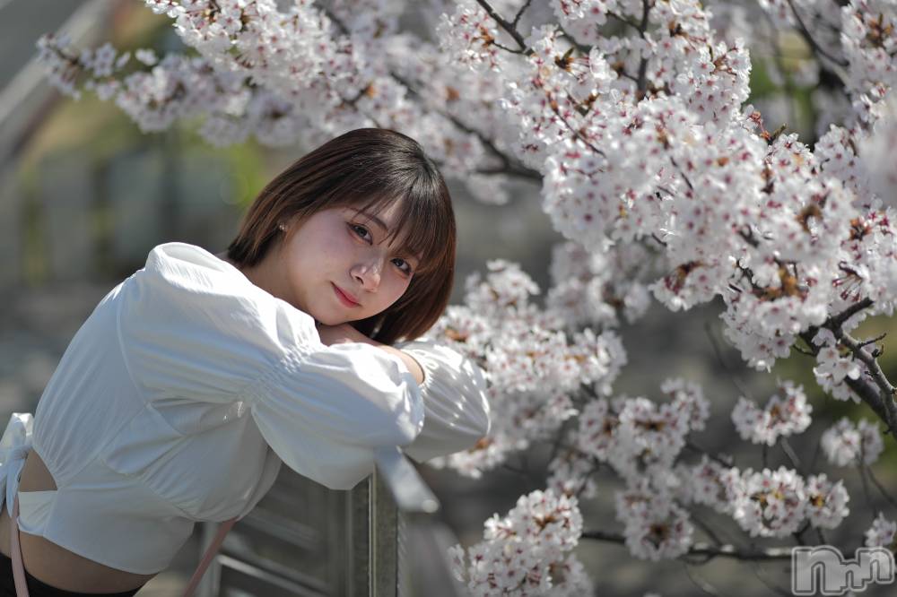 ȯѥ˥󥯥ֿ㥳(˥) ʤ륫413̥֥ʚ🌸ɞ