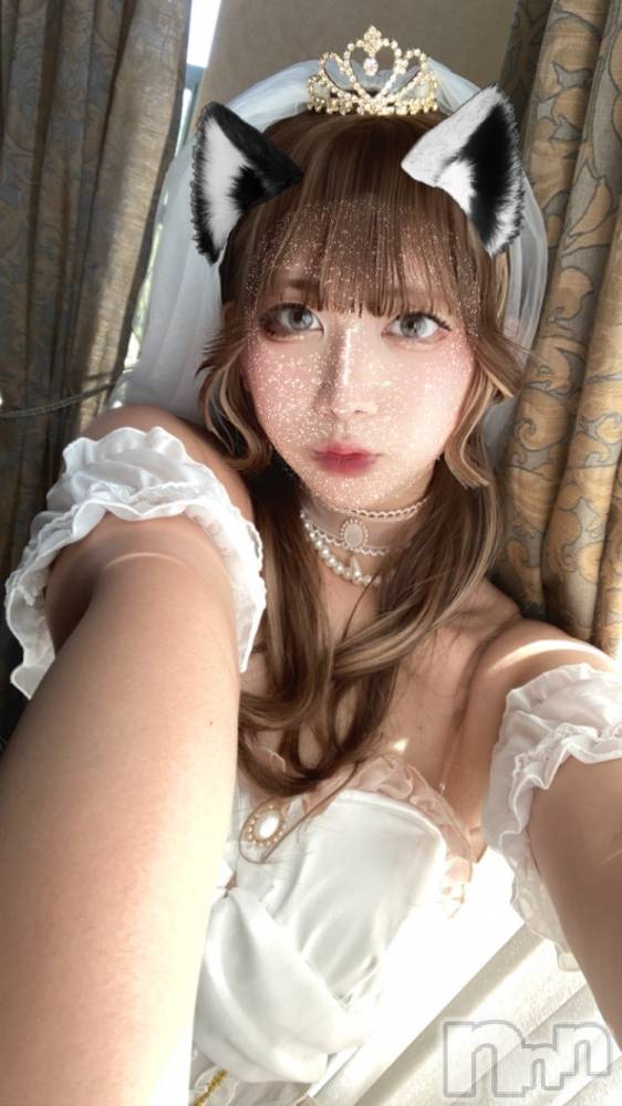 ȯѥ˥󥯥ֿ㥳(˥) ʤ륫913̥֥֥ɥ쥹ŪŪʡ