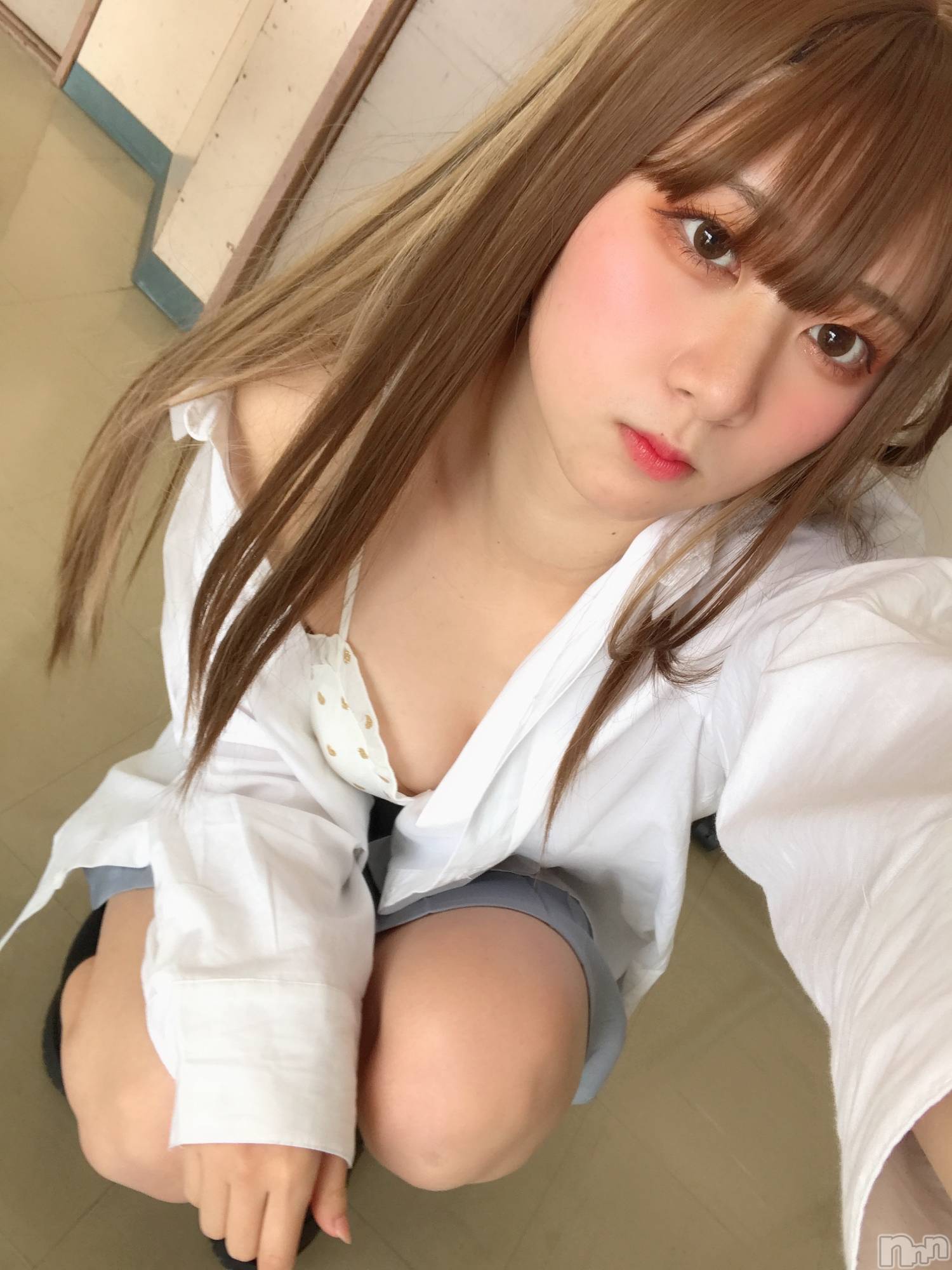 ȯѥ˥󥯥ֿ㥳(˥) 2024ǯ1121̥֥֎ގ