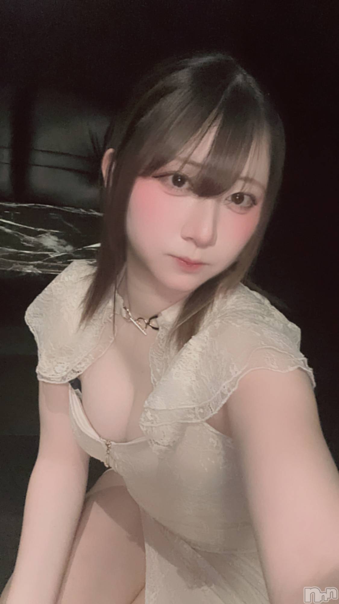 ȯѥ˥󥯥ֿ㥳(˥) 2025ǯ325̥֥֥ɥ쥹ʤޤơ