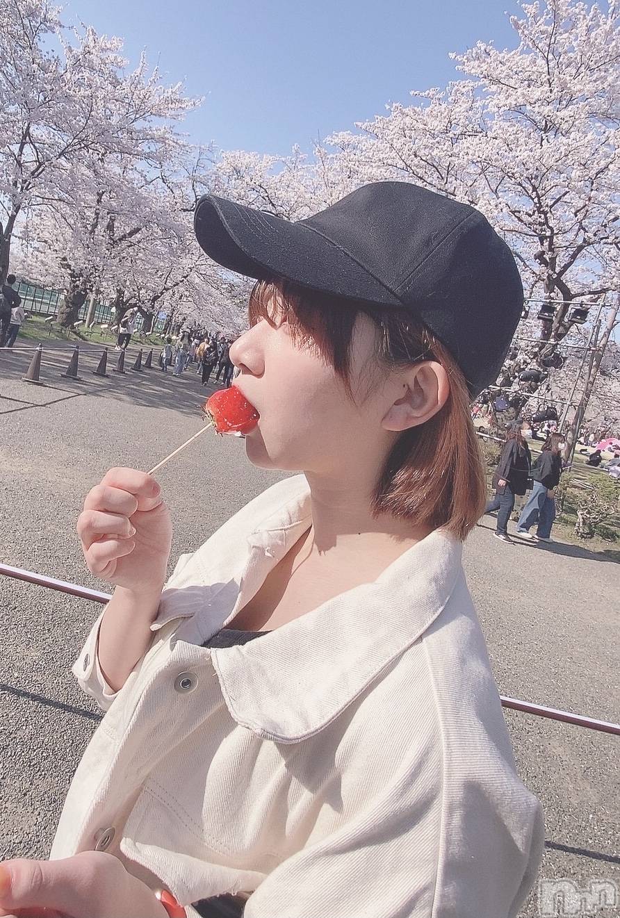 ȯѥ˥󥯥ֿ㥳(˥) 2025ǯ411̥֥🌸🫧