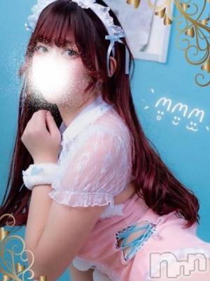 ʤ륫(ҥߥ) Ĺ170cmȯѥ˥󥯥 㥳(˥)ҡ