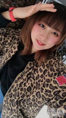 ȯѥ˥󥯥ֿ㥳(˥) ʤ륫1126̥֥֤ѤäĤ✄﻿