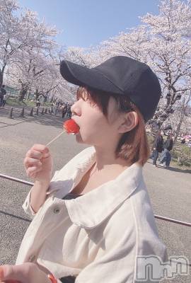 ȯѥ˥󥯥ֿ㥳(˥) ʤ륫411̥֥🌸🫧