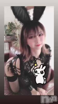 🐰*⑅♥