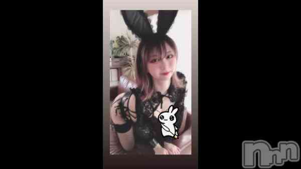 &#x1F430;*&#x2445;&#x2665;